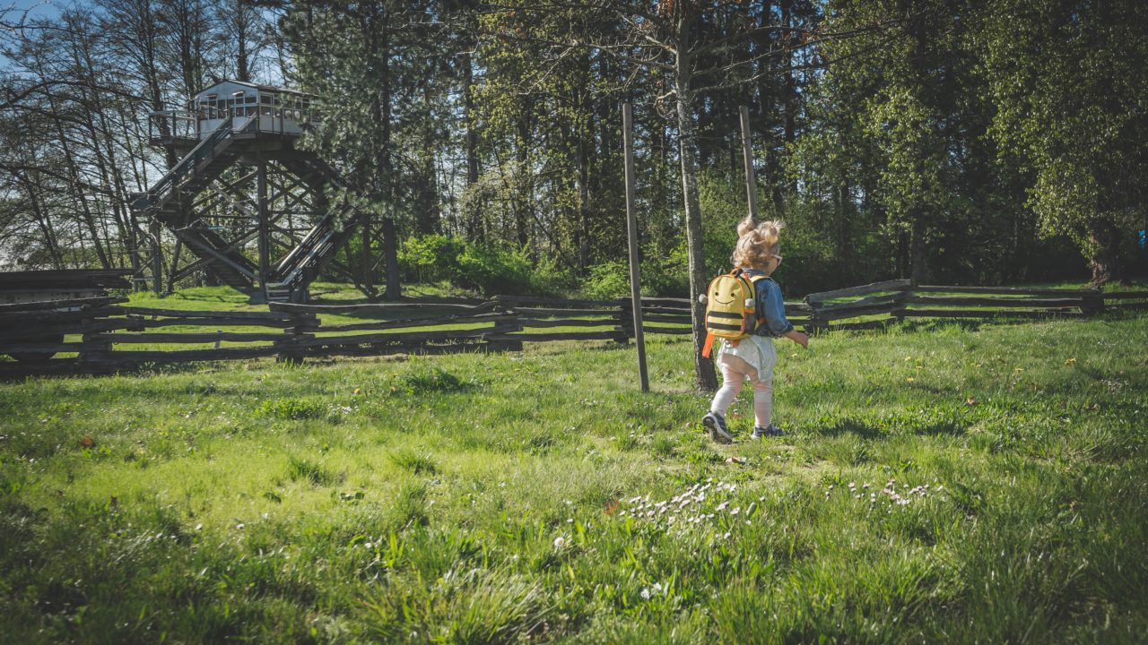 https://educfrance.org/wp-content/uploads/2020/05/a-child-runs-through-the-a-grassy-clearing-1280x720.jpg