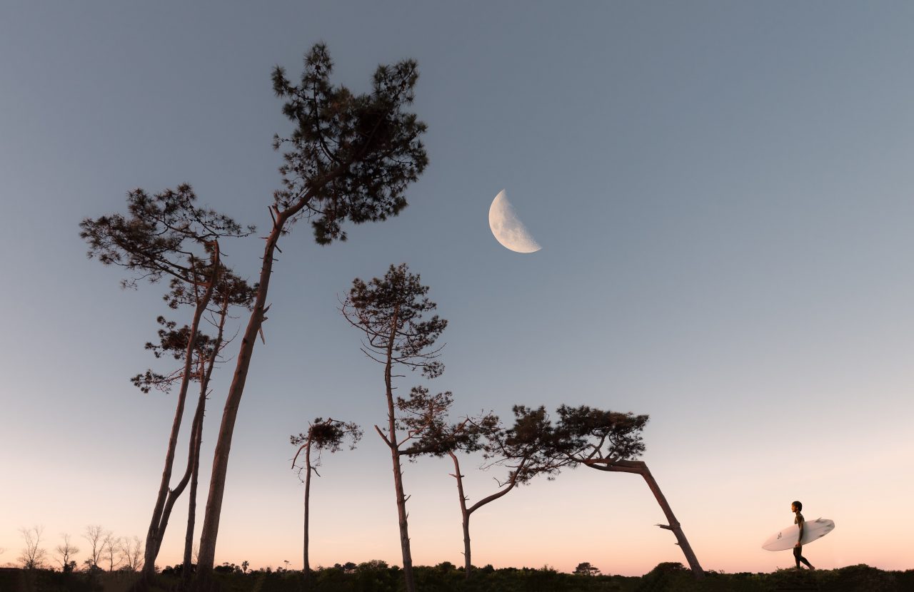 https://educfrance.org/wp-content/uploads/2020/07/half-moon-and-silhouette-of-trees-1242764-1280x830.jpg